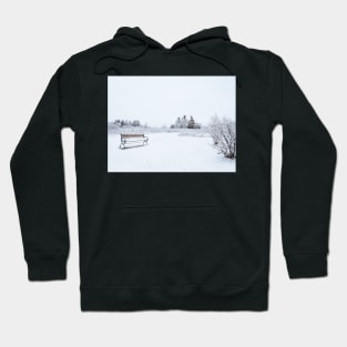 Snowy Blanket of White Snow on Bench Park V1 Hoodie